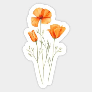 California orange poppies painting Sticker